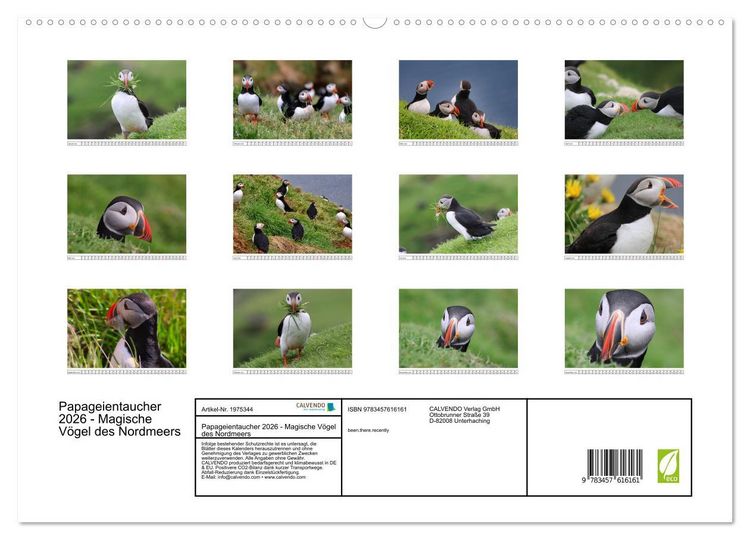 Produktbild: Papageientaucher 2026 - Magische V&ouml;gel des Nordmeers (Wandkalender 2026 DIN A2 quer), CALVENDO Monatskalender