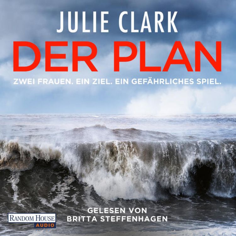 Produktbild: Der Plan &ndash; Zwei Frauen. Ein Ziel. Ein gef&auml;hrliches Spiel