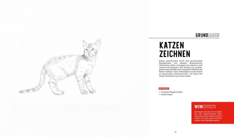 Produktbild: Tiere zeichnen &ndash; Das XXL-Starter-Set: Zwei B&uuml;cher im Bundle