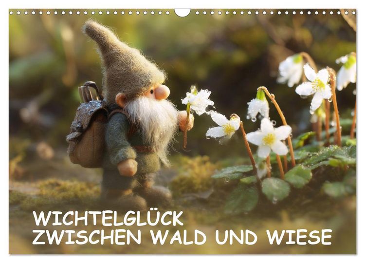 Produktbild: Wichtelgl&uuml;ck zwischen Wald und Wiese (Wandkalender 2027 DIN A3 quer), CALVENDO Monatskalender