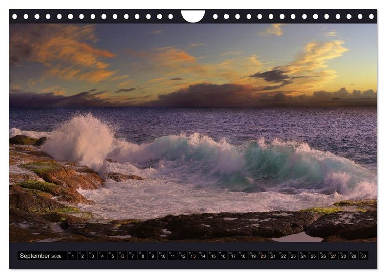 Produktbild: wildes Teneriffa (Wandkalender 2026 DIN A4 quer), CALVENDO Monatskalender