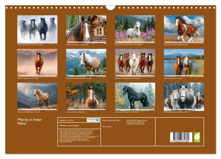 Produktbild: Pferde in freier Natur (Wandkalender 2026 DIN A3 quer), CALVENDO Monatskalender