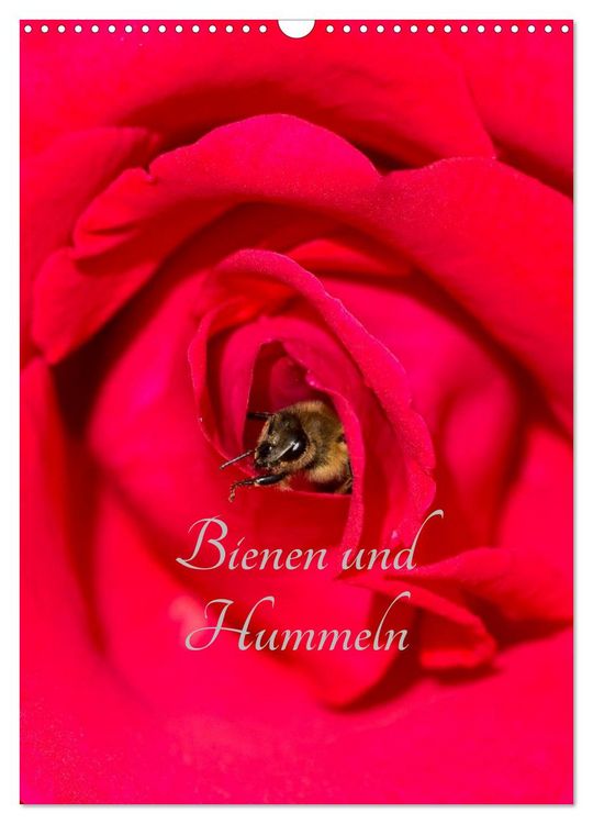 Produktbild: Bienen und Hummeln (Wandkalender 2026 DIN A3 hoch), CALVENDO Monatskalender