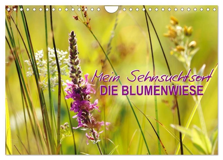 Produktbild: Mein Sehnsuchtsort, die Blumenwiese (Wandkalender 2026 DIN A4 quer), CALVENDO Monatskalender