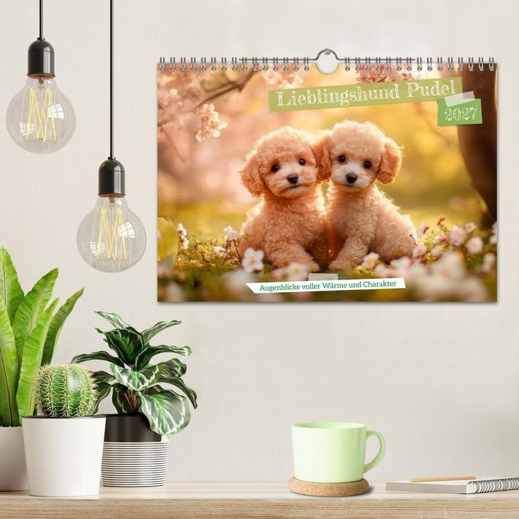 Produktbild: Lieblingshund Pudel (Wandkalender 2027 DIN A4 quer), CALVENDO Monatskalender
