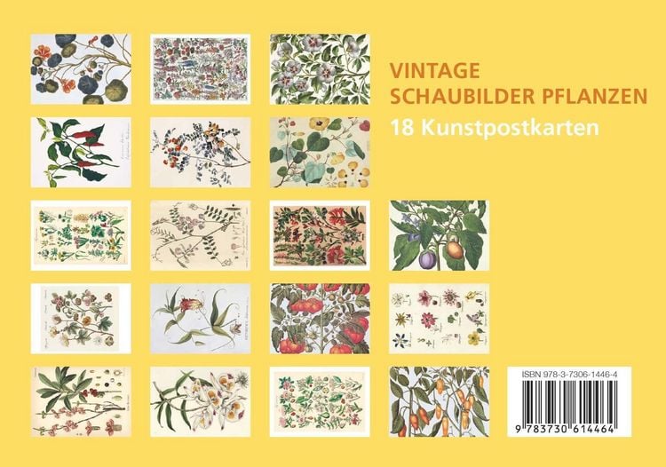 Produktbild: Postkarten-Set Vintage-Schaubilder Pflanzen