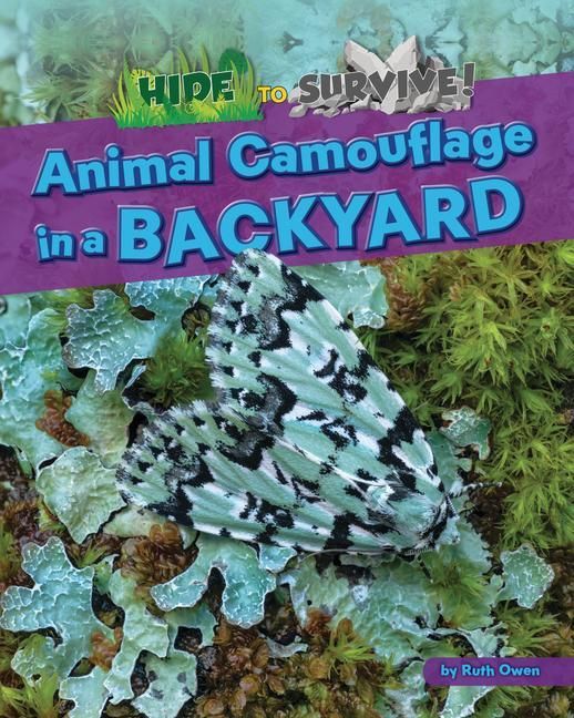 Produktbild: Animal Camouflage in a Backyard