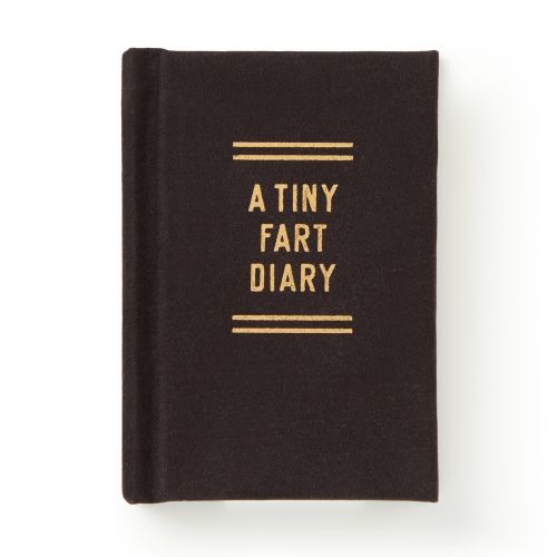 Produktbild: A Tiny Fart Diary