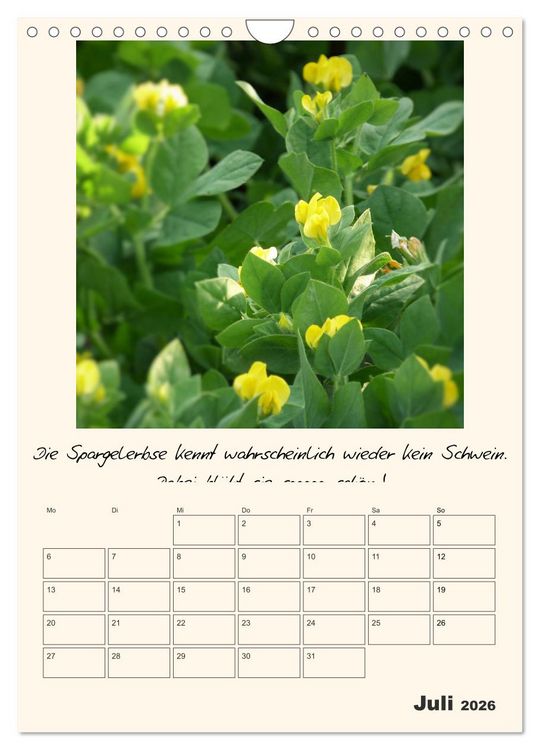 Produktbild: Gartengeschichten (Wandkalender 2026 DIN A4 hoch), CALVENDO Monatskalender
