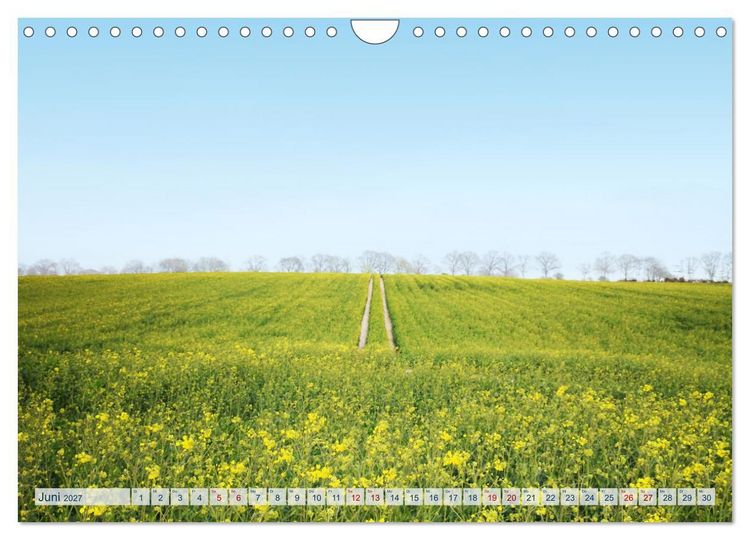 Produktbild: Magisches Ostholstein (Wandkalender 2027 DIN A4 quer), CALVENDO Monatskalender