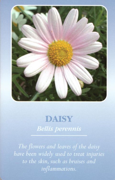 Produktbild: Herbal Recognition Cards GB