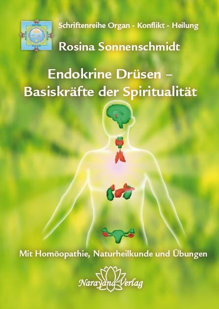 Produktbild: Endokrine Dr&uuml;sen - Basiskr&auml;fte der Spiritualit&auml;t