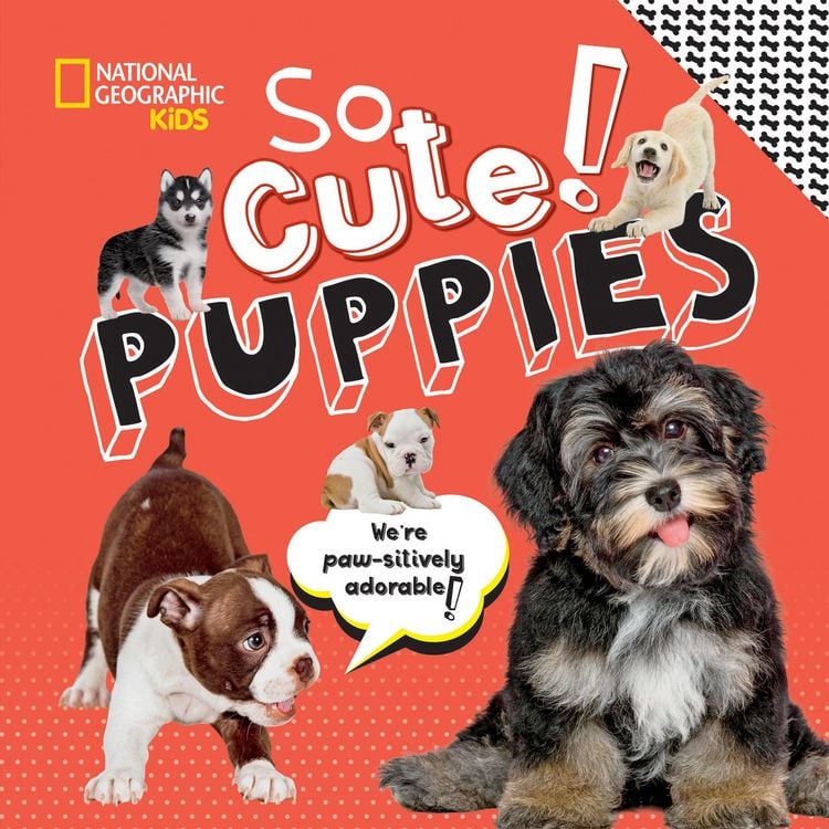 Produktbild: So Cute! Puppies