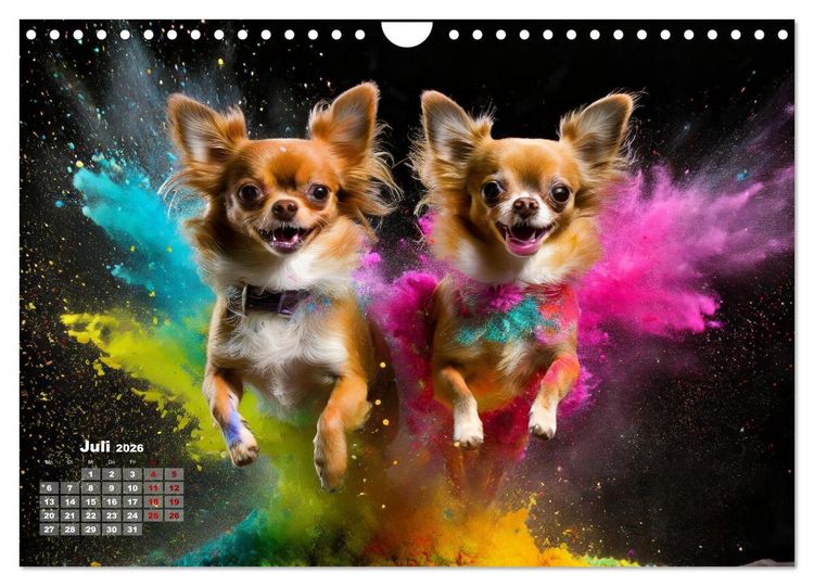 Produktbild: Holi Pulver - Doppelte Action (Wandkalender 2026 DIN A4 quer), CALVENDO Monatskalender