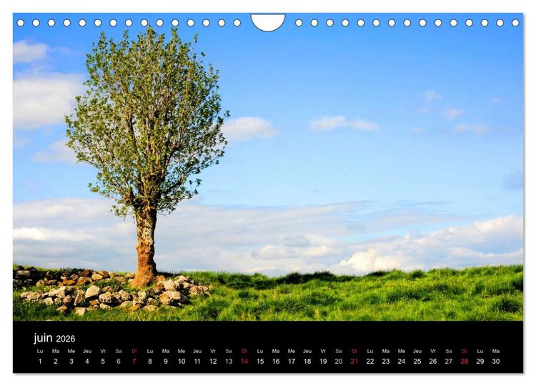Produktbild: AUBRAC (Calendrier mural 2026 DIN A4 vertical), CALVENDO calendrier mensuel