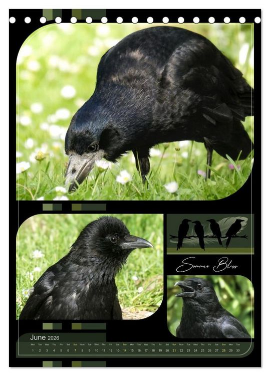 Produktbild: Crows - Through the Seasons (Desk Calendar 2026 DIN A5 portrait), CALVENDO 12 Month DeskCalendar