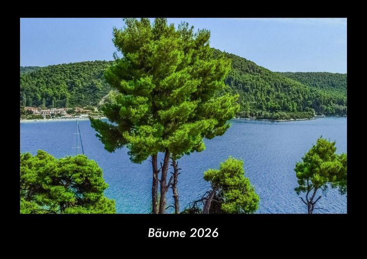Produktbild: B&auml;ume 2026 Fotokalender DIN A3
