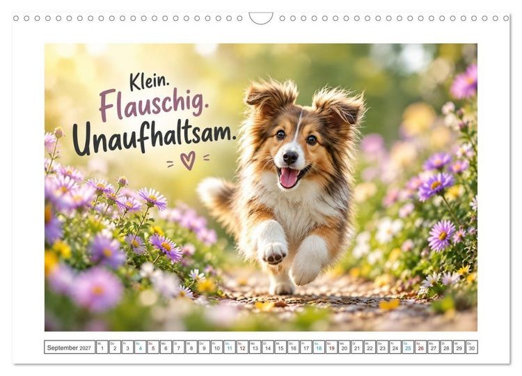 Produktbild: Zum Gl&uuml;ck gibt&rsquo;s Hunde (Wandkalender 2027 DIN A3 quer), CALVENDO Monatskalender