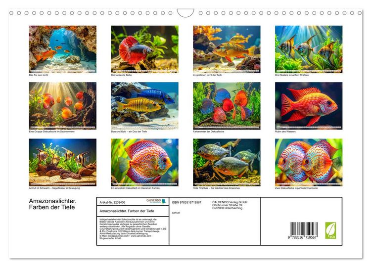 Produktbild: Amazonaslichter. Farben der Tiefe (Wandkalender 2026 DIN A3 quer), CALVENDO Monatskalender