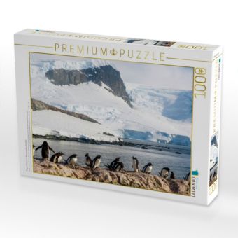 Produktbild: CALVENDO Puzzle Pinguin Kolonie im Naturparadies Antarktis | 1000 Teile Lege-Gr&ouml;&szlig;e 64x48cm Foto-Puzzle f&uuml;r gl&uuml;ckliche Stunden