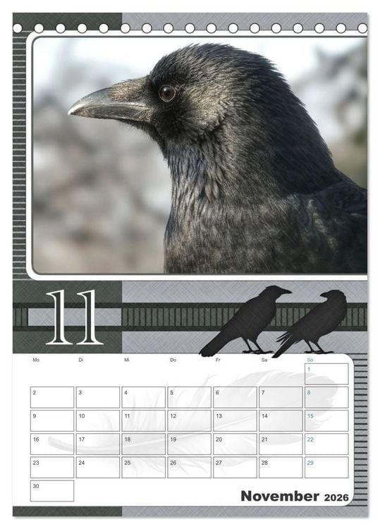 Produktbild: Kr&auml;hen - Clever notiert! Mit K&ouml;pfchen durchs ganze Jahr (Tischkalender 2026 DIN A5 hoch), CALVENDO Monatskalender