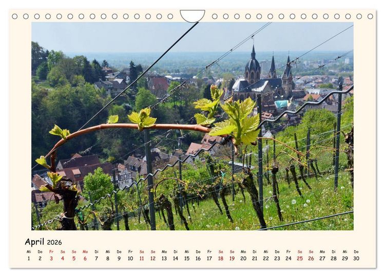 Produktbild: Weinlandschaft - Heppenheim an der Bergstra&szlig;e (Wandkalender 2026 DIN A4 quer), CALVENDO Monatskalender