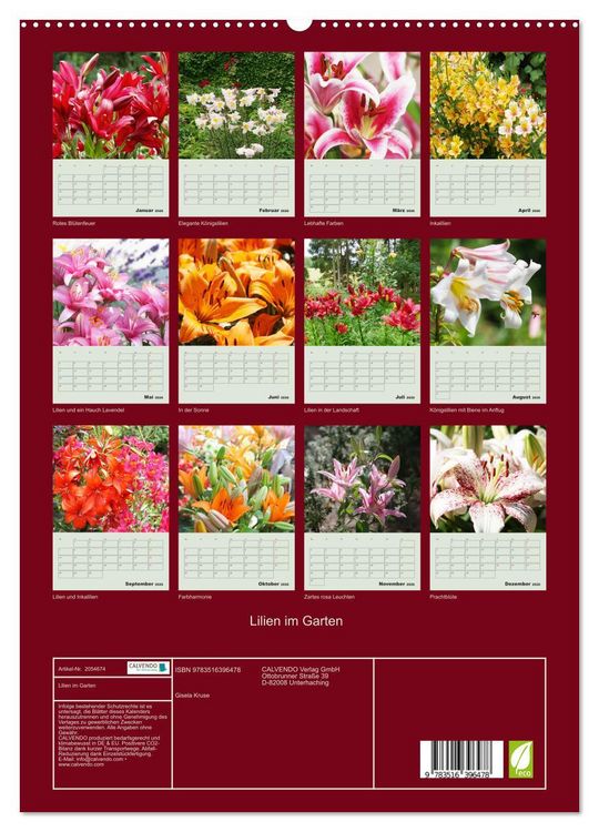 Produktbild: Lilien im Garten (hochwertiger Premium Wandkalender 2026 DIN A2 hoch), Kunstdruck in Hochglanz