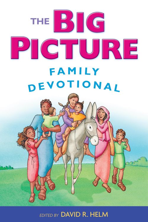 Produktbild: The Big Picture Family Devotional