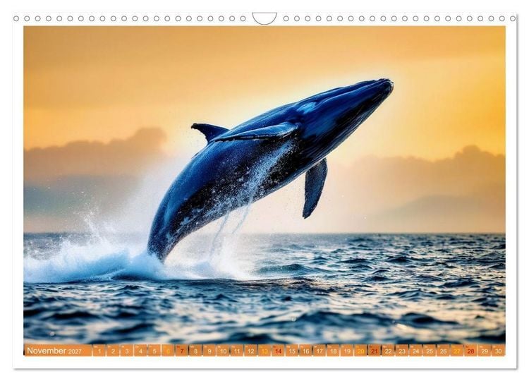 Produktbild: Whale Watching (Wandkalender 2027 DIN A3 quer), CALVENDO Monatskalender