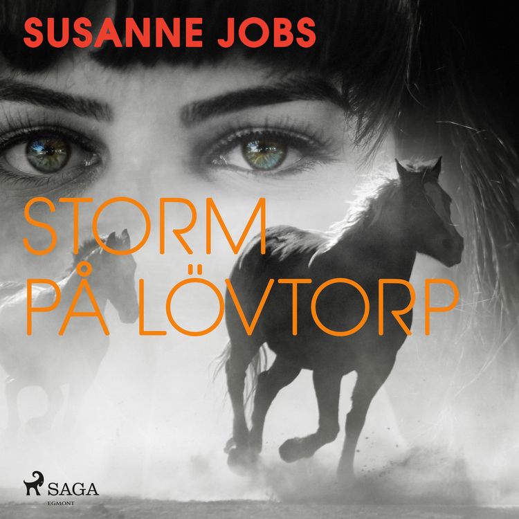Produktbild: Storm p&aring; L&ouml;vtorp