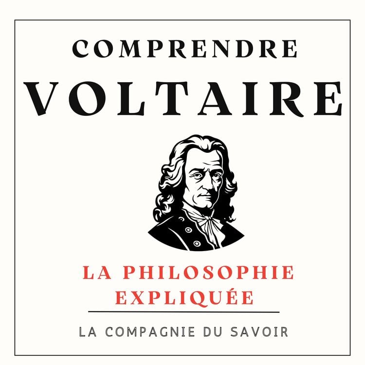 Produktbild: Comprendre Voltaire