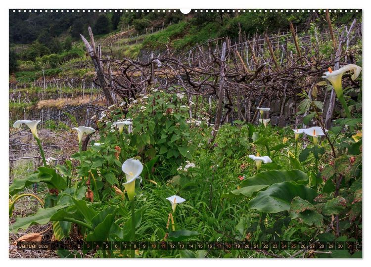 Produktbild: Madeira, Insel zwischen Himmel und Meer (hochwertiger Premium Wandkalender 2026 DIN A2 quer), Kunstdruck in Hochglanz