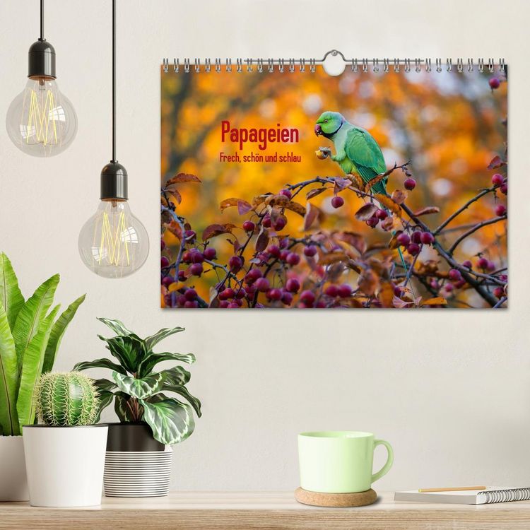 Produktbild: Papageien - Frech, sch&ouml;n und schlau (Wandkalender 2026 DIN A4 quer), CALVENDO Monatskalender