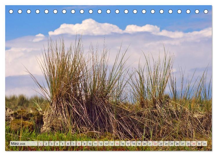 Produktbild: Nordseeinsel Amrum (Tischkalender 2026 DIN A5 quer), CALVENDO Monatskalender