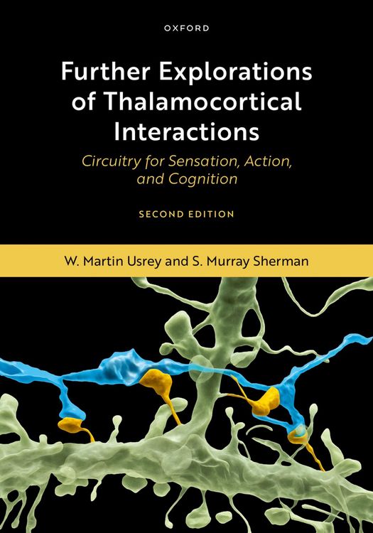 Produktbild: Further Explorations of Thalamocortical Interactions