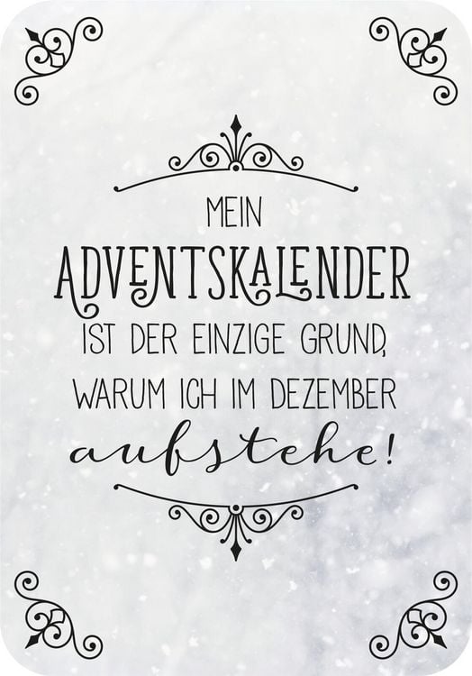 Produktbild: Klein, aber gemein