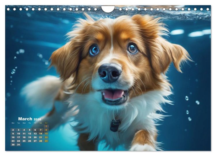 Produktbild: Dogs: intrepid swimmers (Wall Calendar 2026 DIN A4 landscape), CALVENDO 12 Month Wall Calendar
