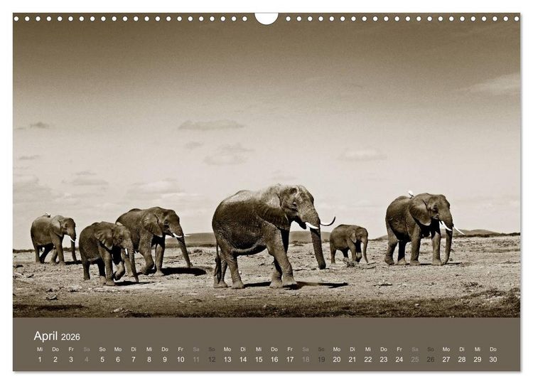 Produktbild: Wildes Afrika (Wandkalender 2026 DIN A3 quer), CALVENDO Monatskalender