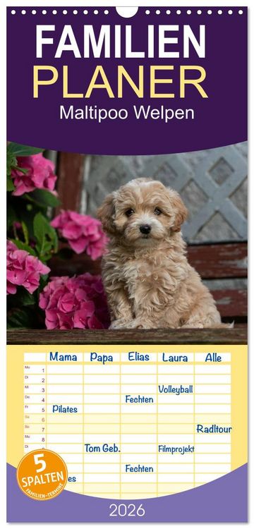 Produktbild: Familienplaner 2026 - Maltipoo Welpen mit 5 Spalten (Wandkalender, 21 x 45 cm) CALVENDO