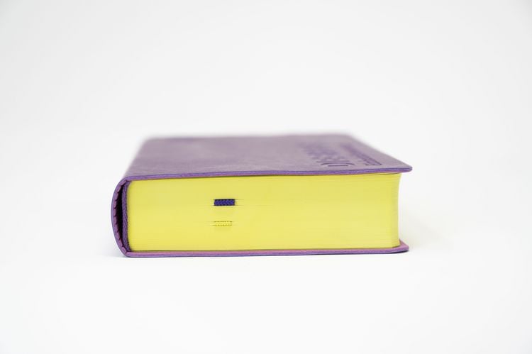 Produktbild: Die Bibel. Senfkorn, Handschmeichler lila