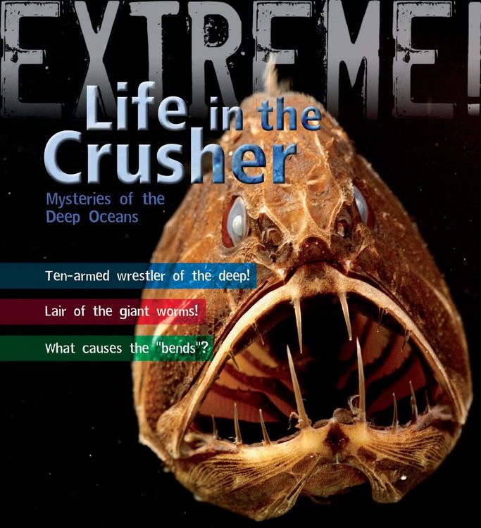 Produktbild: Extreme Science