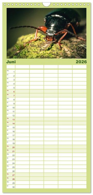 Produktbild: Familienplaner 2026 - Makrowelten Tierreich mit 5 Spalten (Wandkalender, 21 x 45 cm) CALVENDO