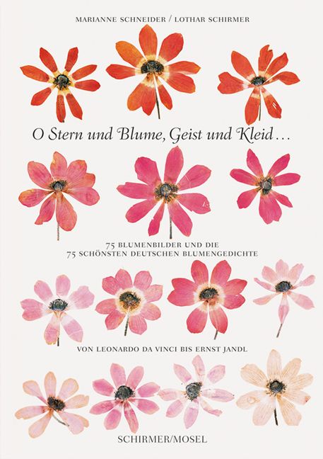 Produktbild: O Stern und Blume, Geist und Kleid...