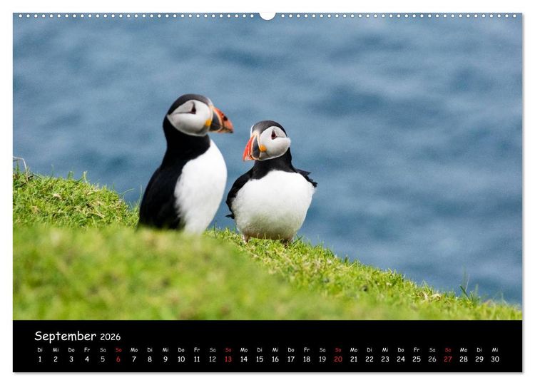 Produktbild: Die Papageientaucher von Mykines (Wandkalender 2026 DIN A2 quer), CALVENDO Monatskalender