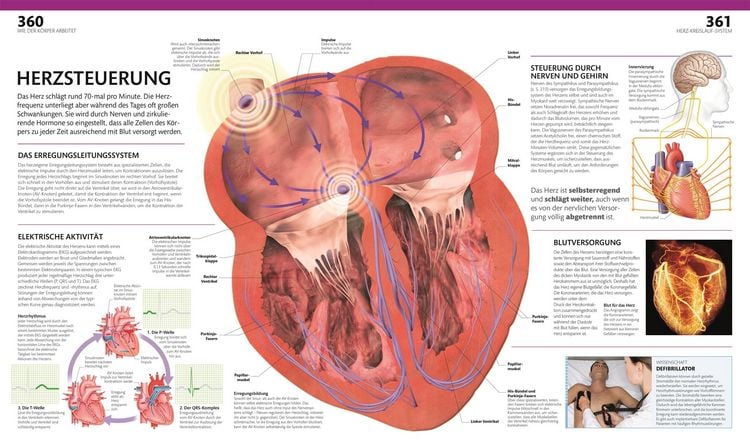 Produktbild: Anatomie und Physiologie