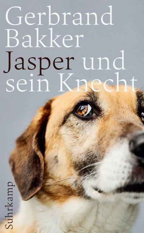 Produktbild: Jasper und sein Knecht
