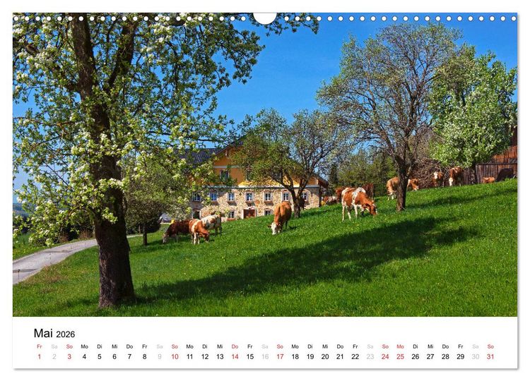 Produktbild: Zauberhaftes Mondseeland (Wandkalender 2026 DIN A3 quer), CALVENDO Monatskalender