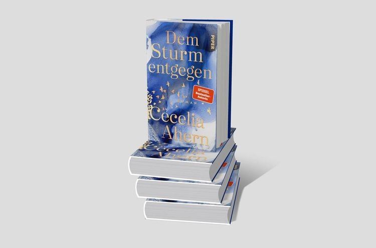 Produktbild: Dem Sturm entgegen