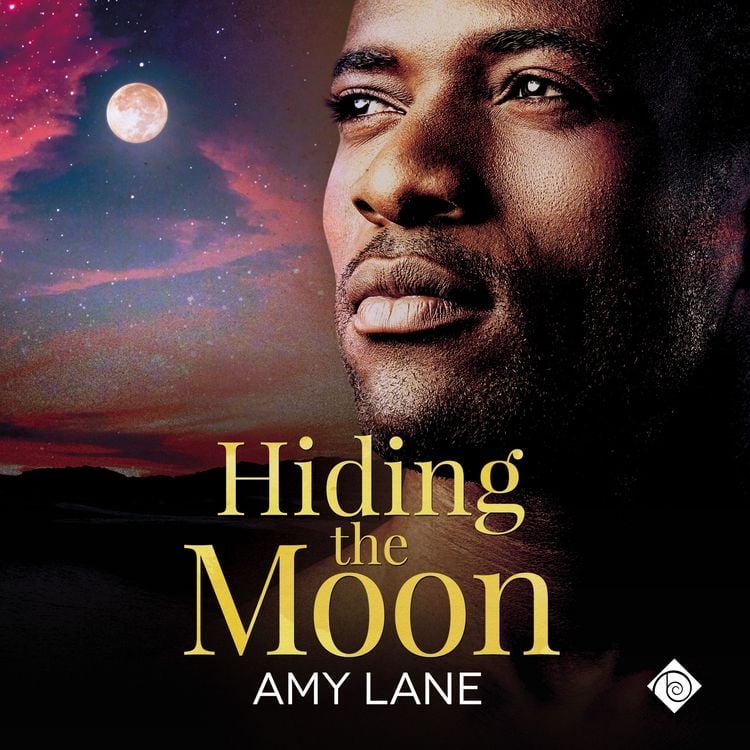 Produktbild: Hiding the Moon