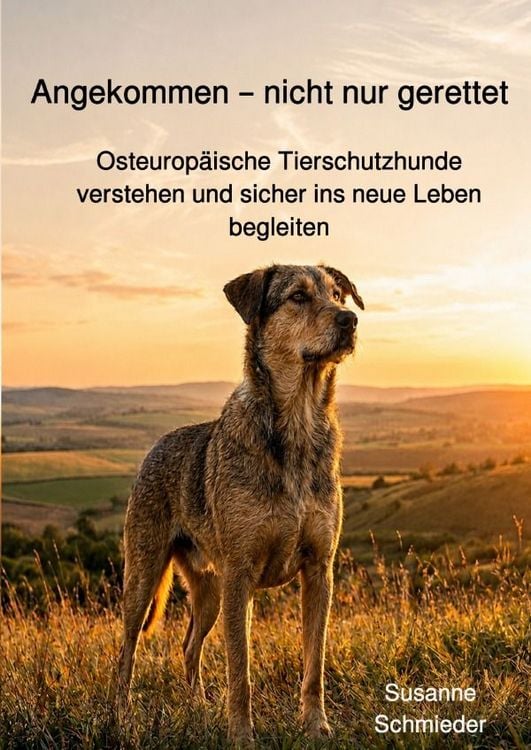 Produktbild: Angekommen &ndash; nicht nur gerettet Osteurop&auml;ische Tierschutzhunde verstehen und sicher ins neue Leben begleiten